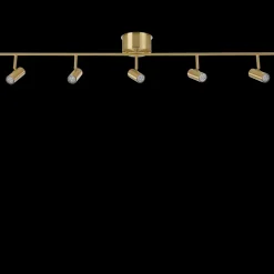 Cato spotlight skena