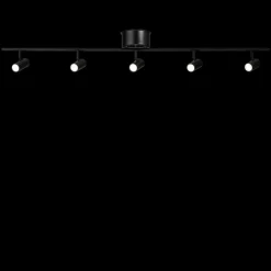 Cato spotlight skena